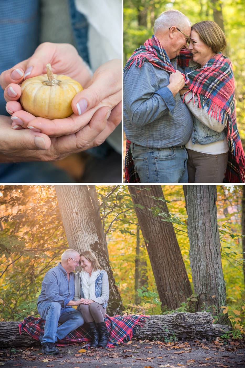Chatham-Kent Engagement Pictures